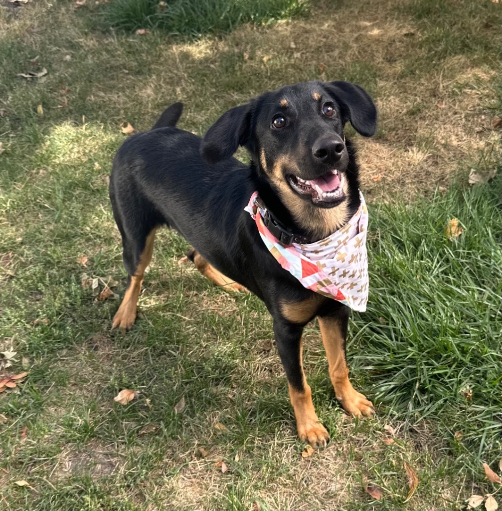Coco