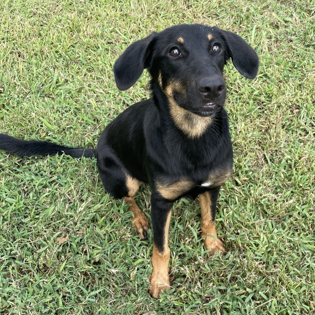 Coco