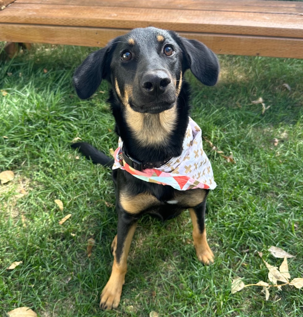 Coco