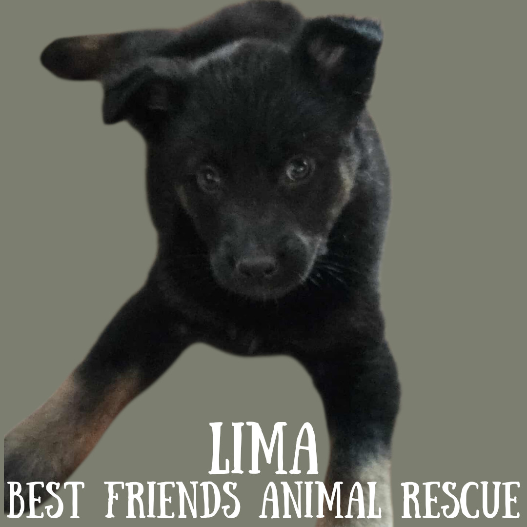 Lima