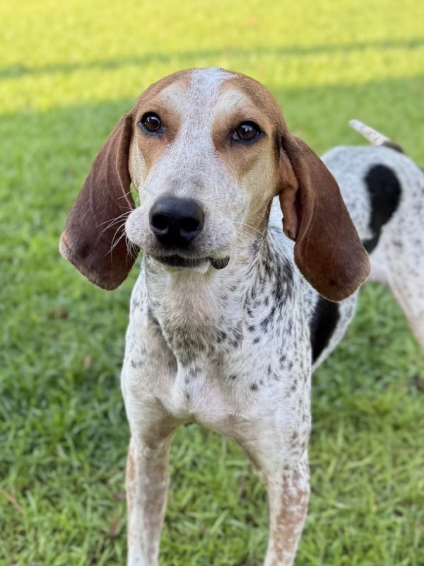 Frederick thumbnail 2