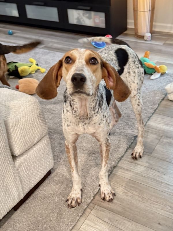 Frederick thumbnail 3