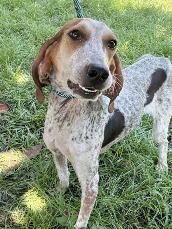 Frederick thumbnail 5