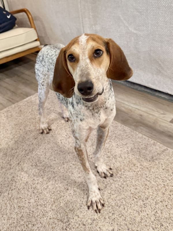 Frederick thumbnail 6