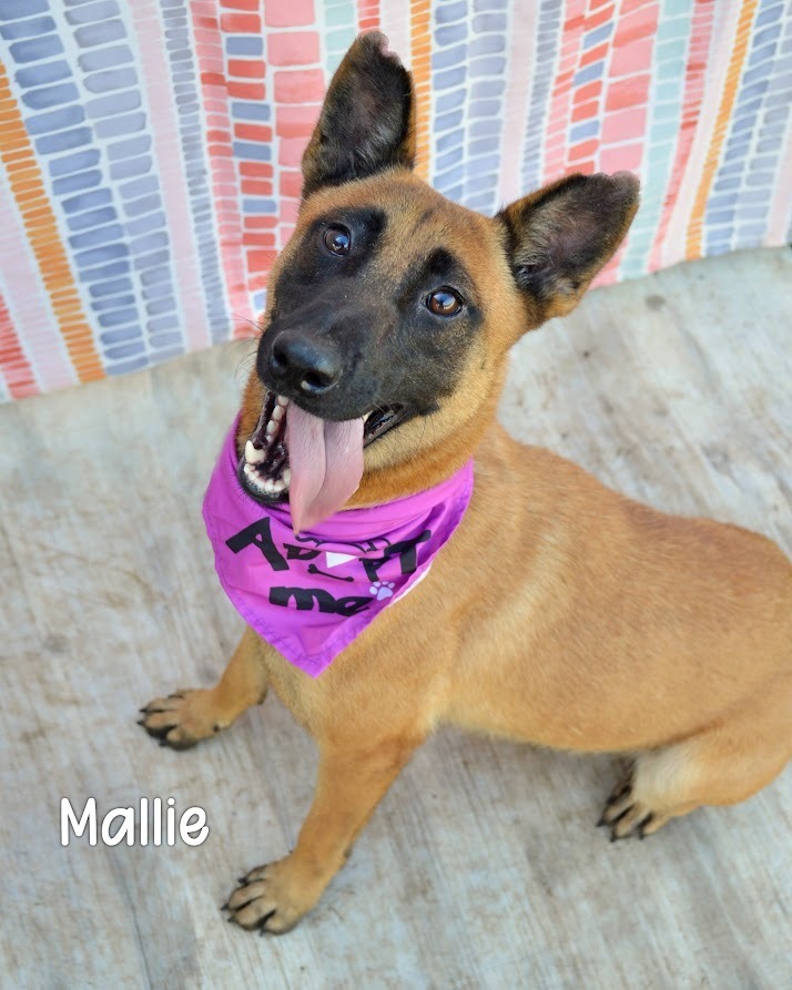 Mallie