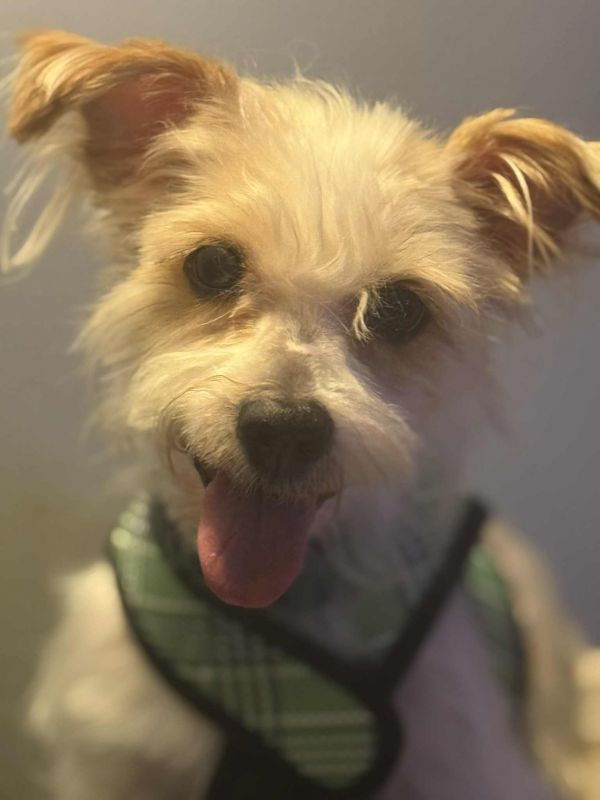 Chloe