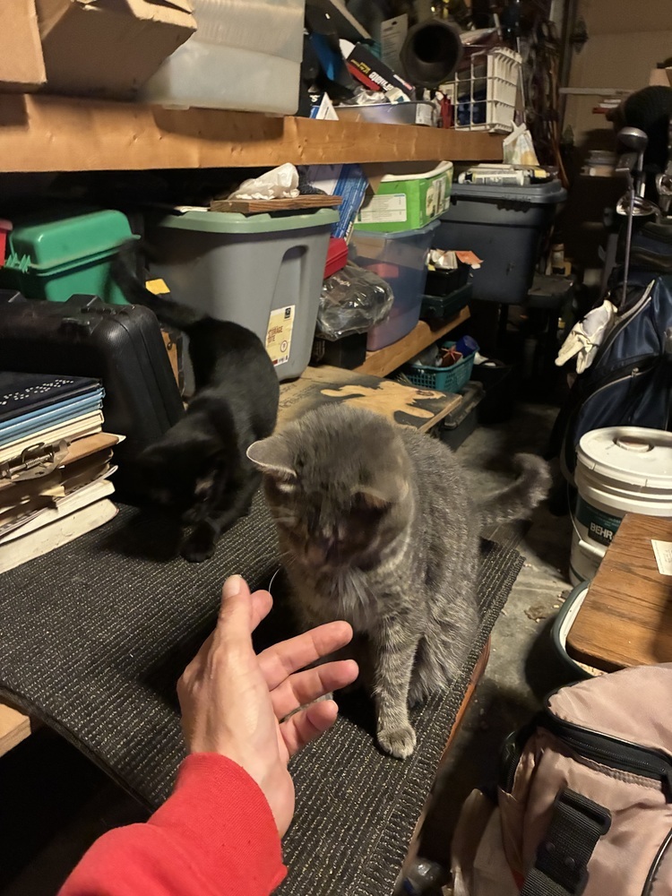 Meatball fka Mr. Burns