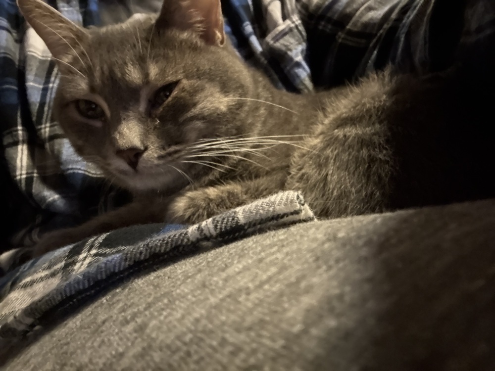 Meatball fka Mr. Burns