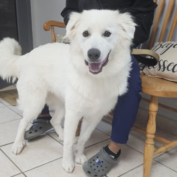 Winter Aka Winnie thumbnail 2