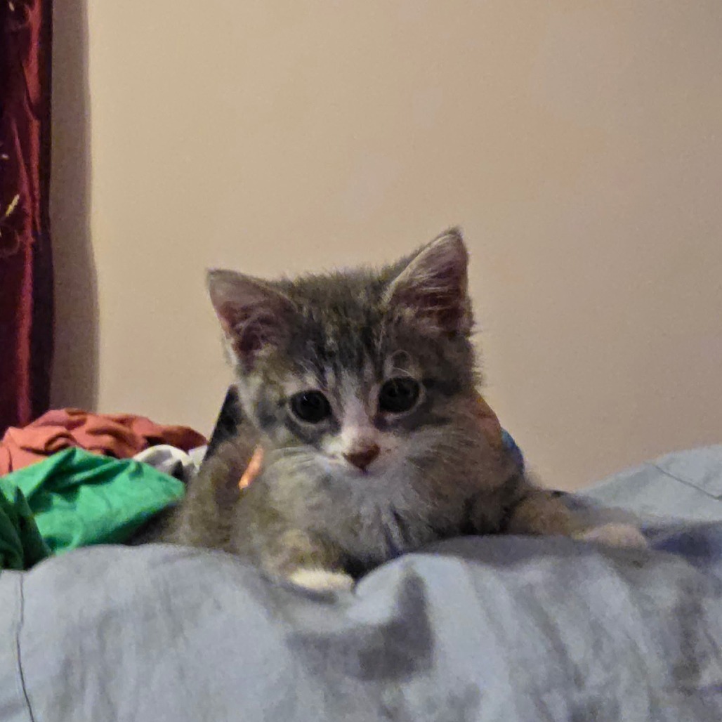 Rupert