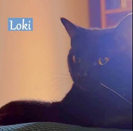 Loki