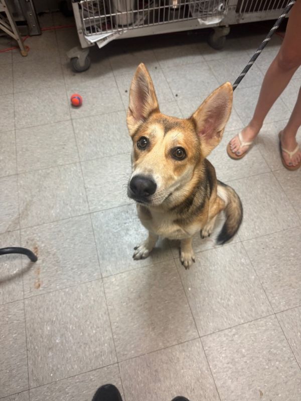 Snack Stick thumbnail 2