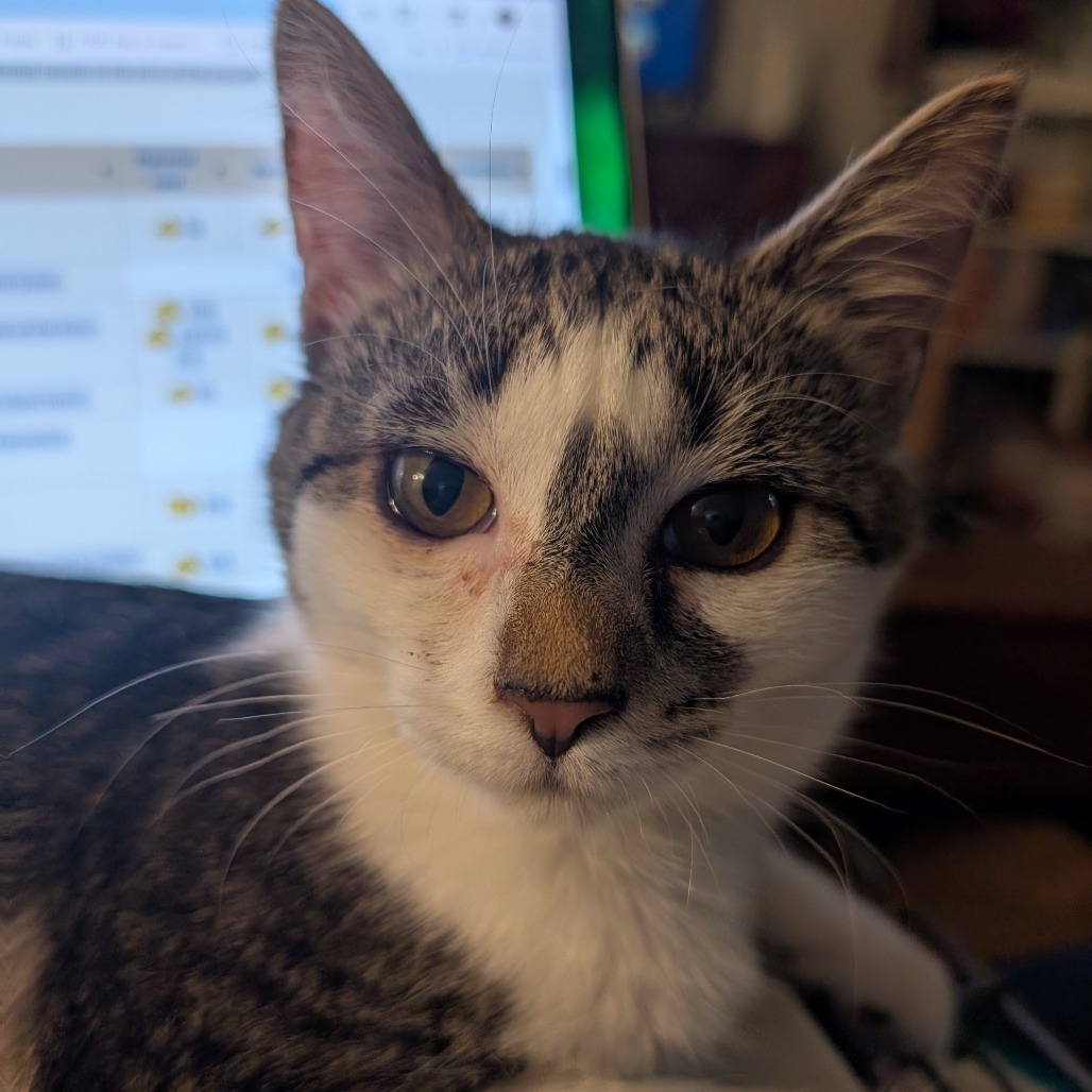 Daisy