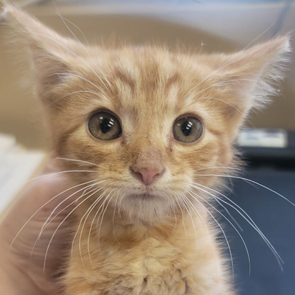 Mccreary thumbnail 2