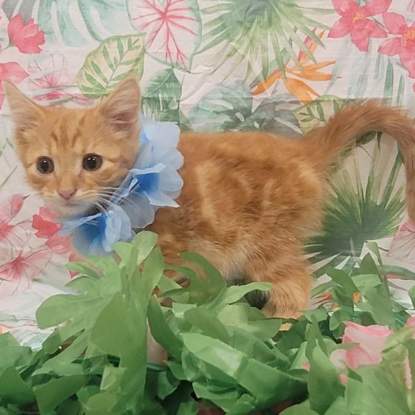 Mccreary thumbnail 4