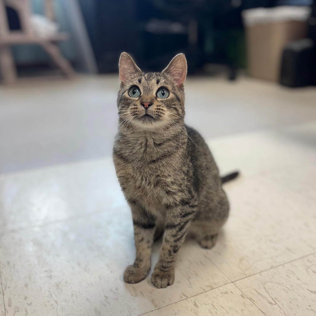 Marlow--In Foster