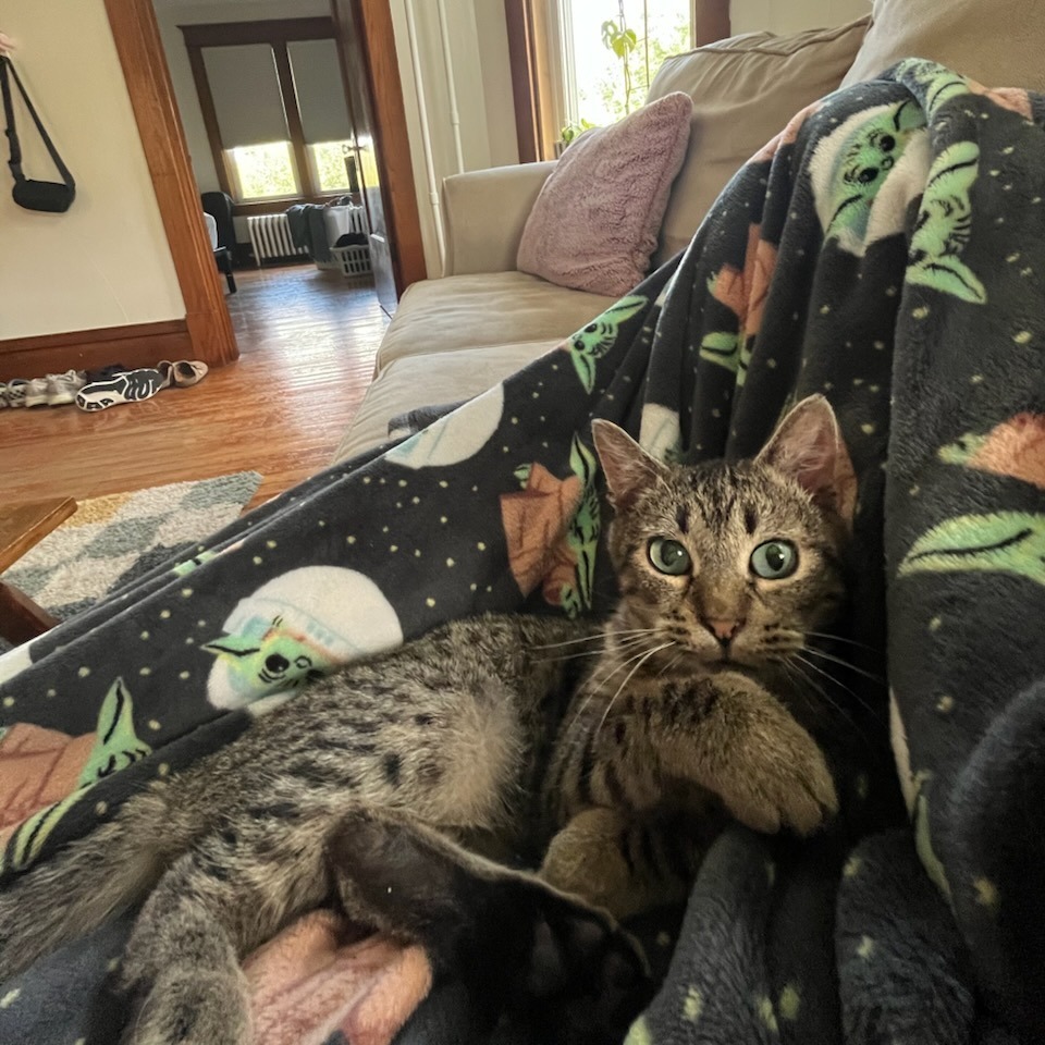 Marlow--In Foster