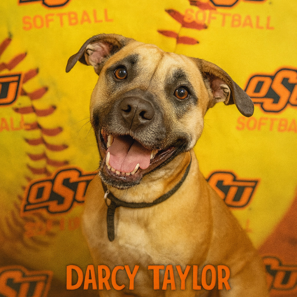 Darcy Taylor