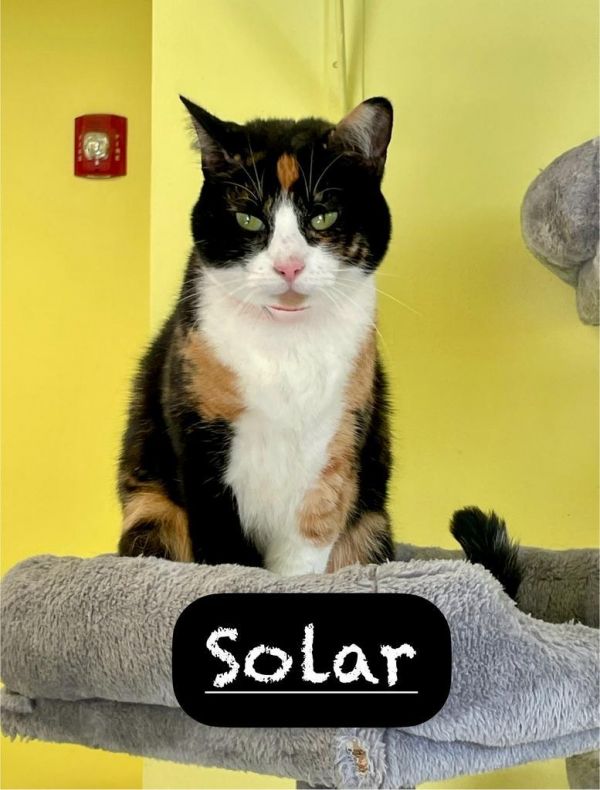 Solar