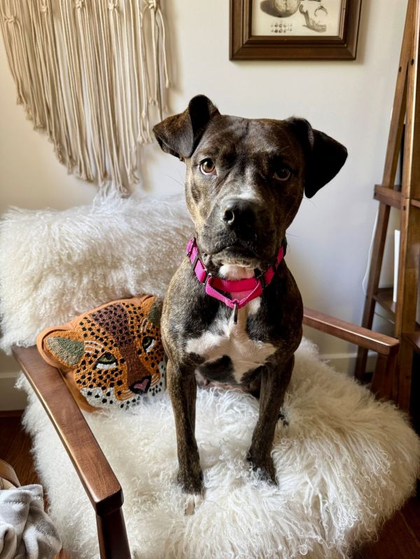 Meg Swan thumbnail 2