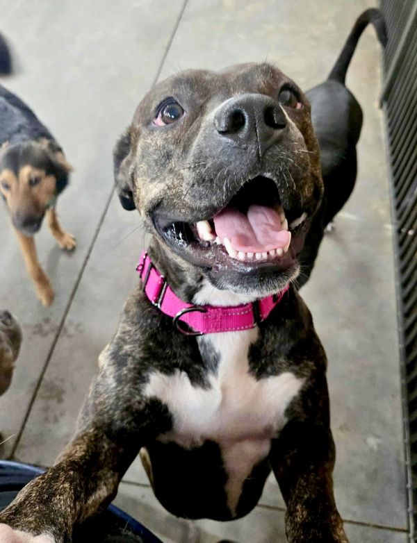 Meg Swan thumbnail 3