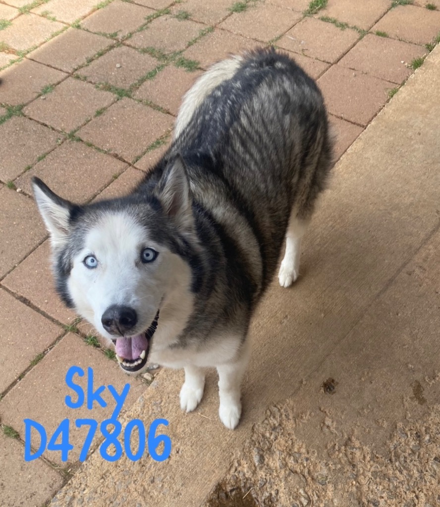 Sky