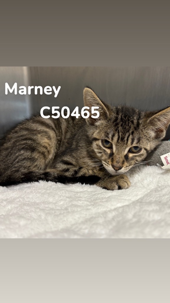 Marney