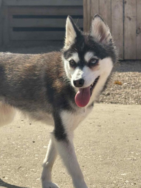 Yuka