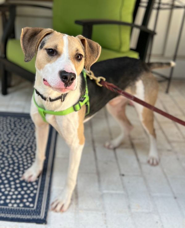 Hubie Brown thumbnail 3