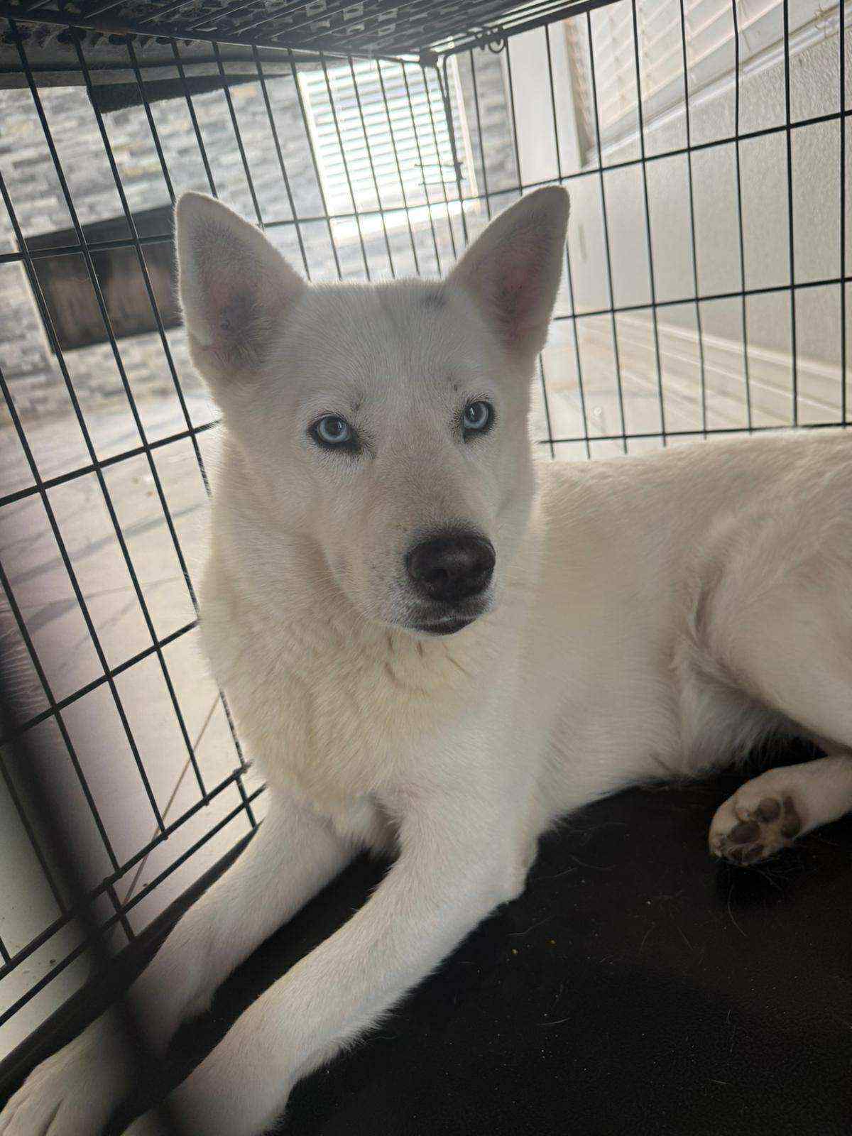 LUNA #14