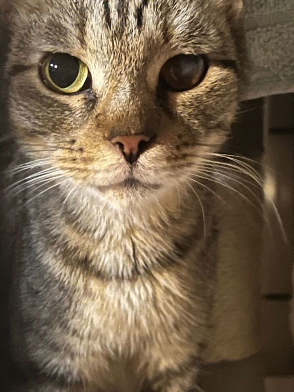 Wishy Whispy photo 1