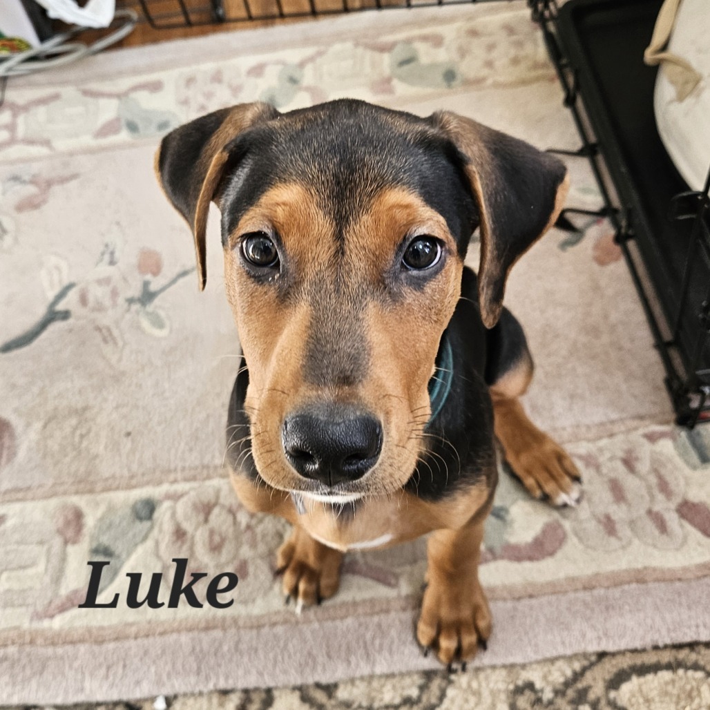 Luke
