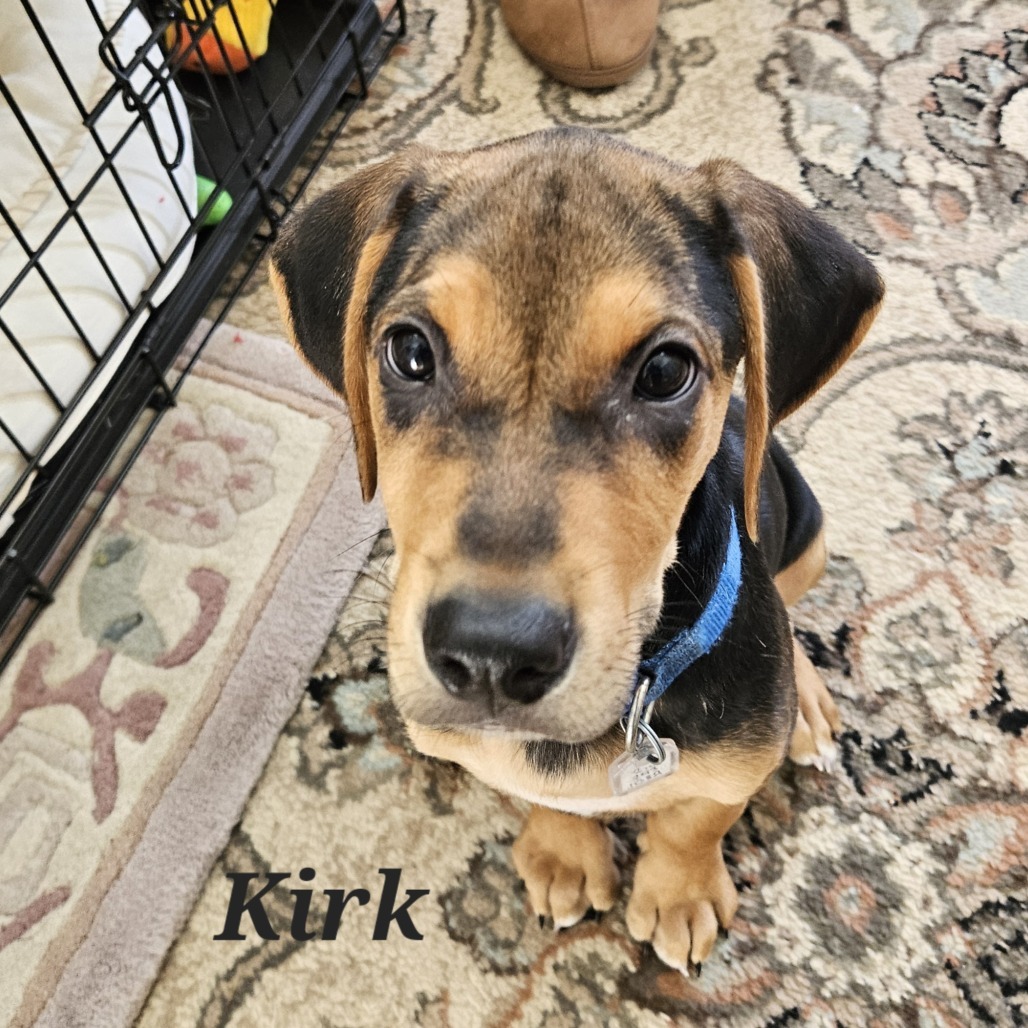 Kirk