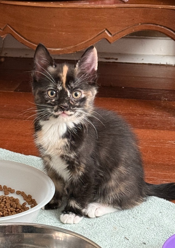Sabine