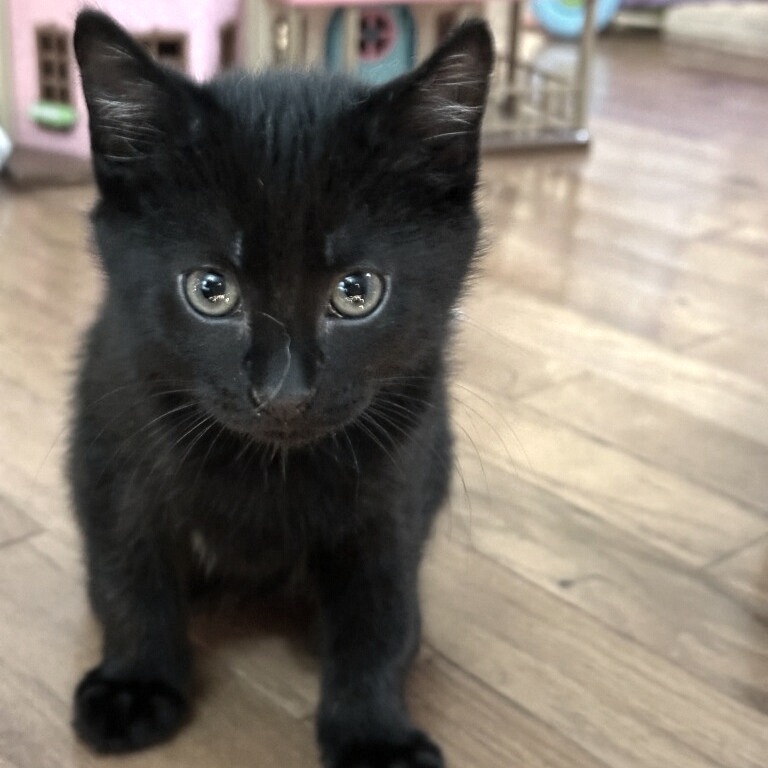 Titan