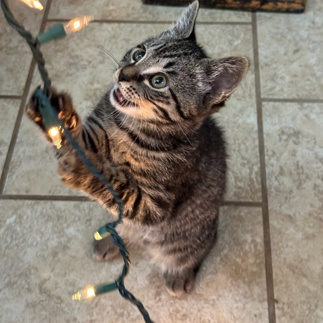 Astro