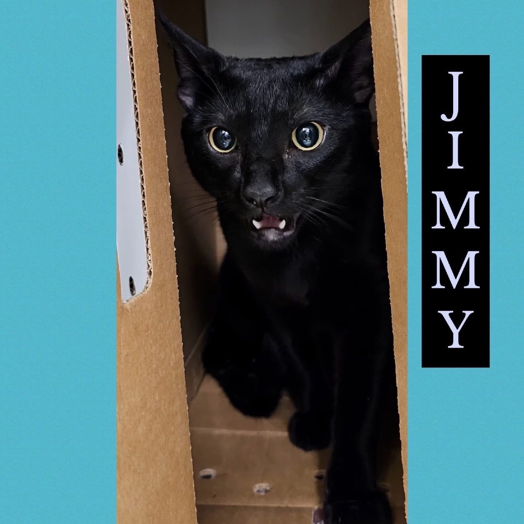Jimmy