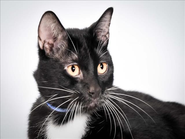 BINX