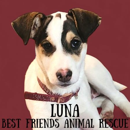 Luna
