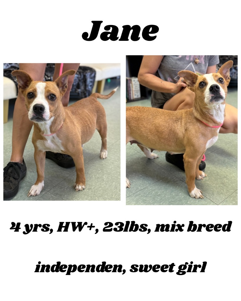 Jane