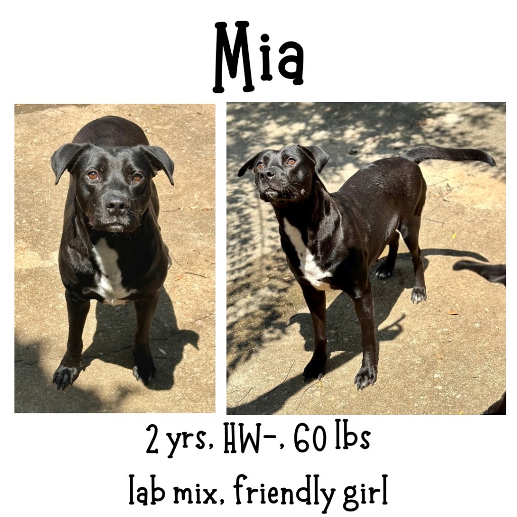 Mia