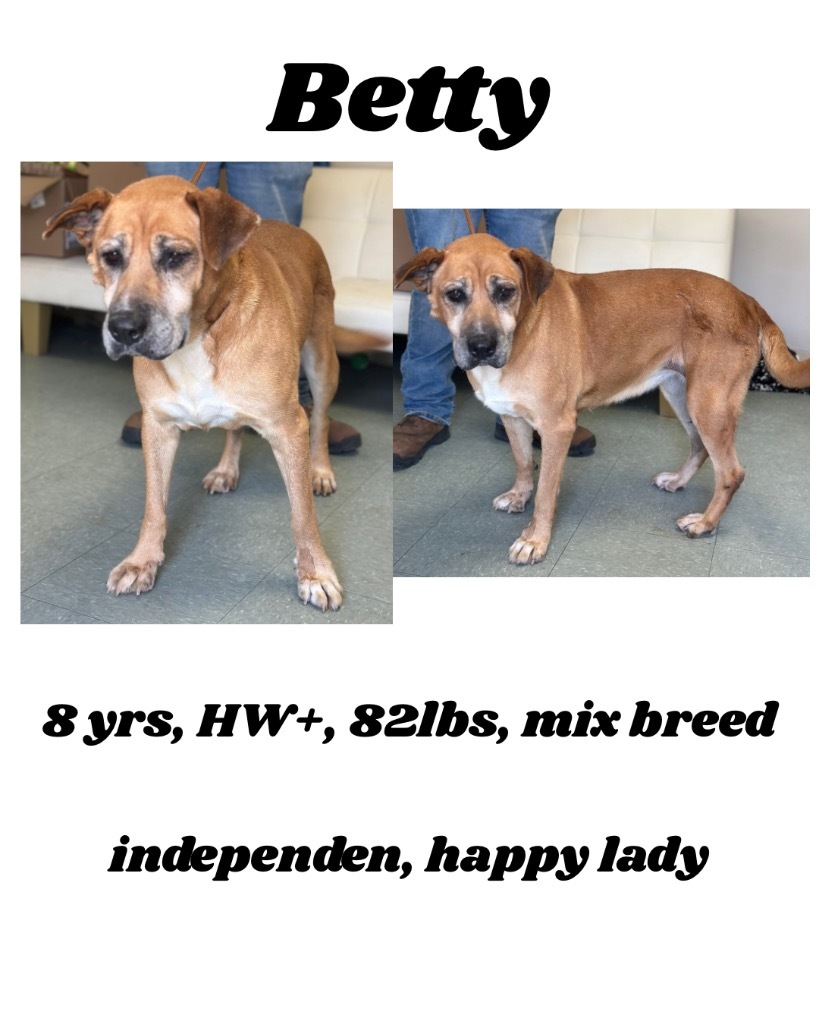 Betty (Bella)