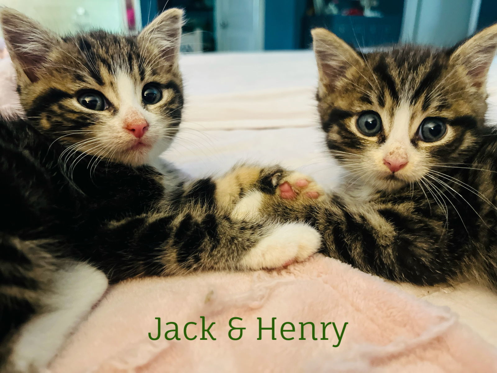Jack and Henry