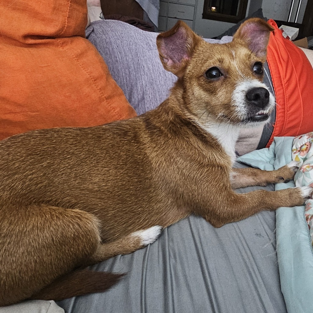 Mable