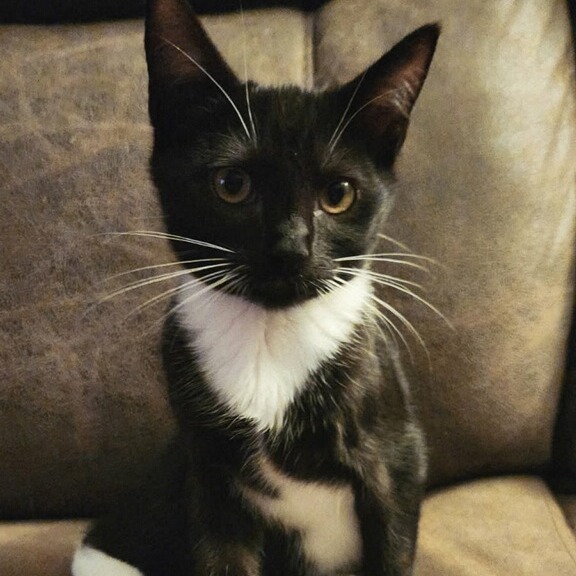 Fabuloso