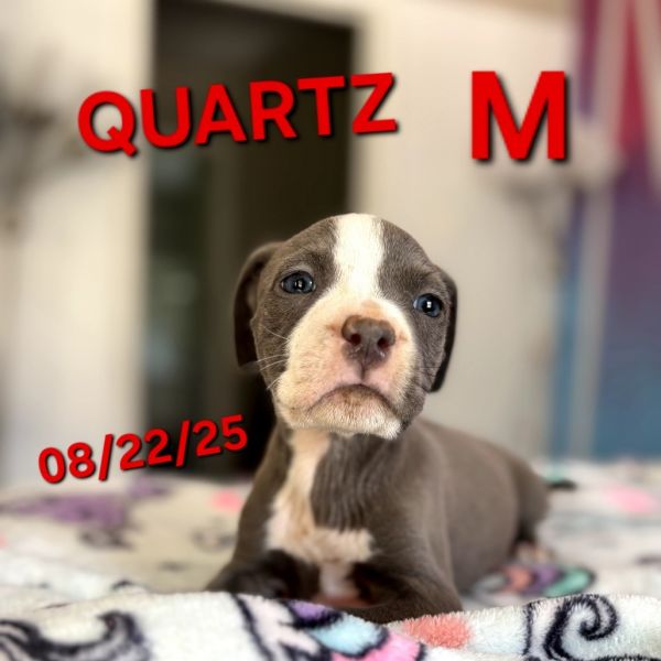 Quartz thumbnail 2