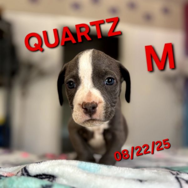 Quartz thumbnail 3