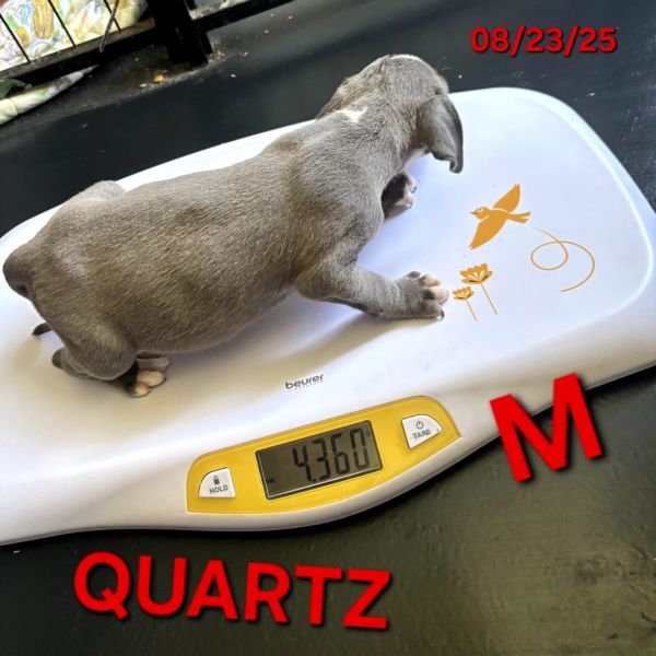 Quartz thumbnail 5