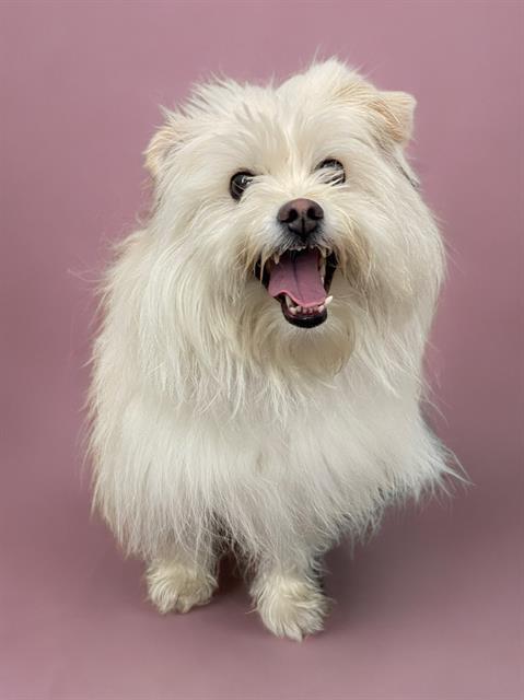 Chloe