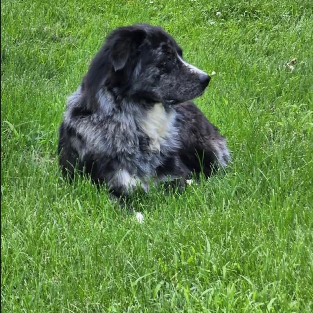 Tyson